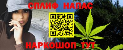 мяу мяу мука Нарткала