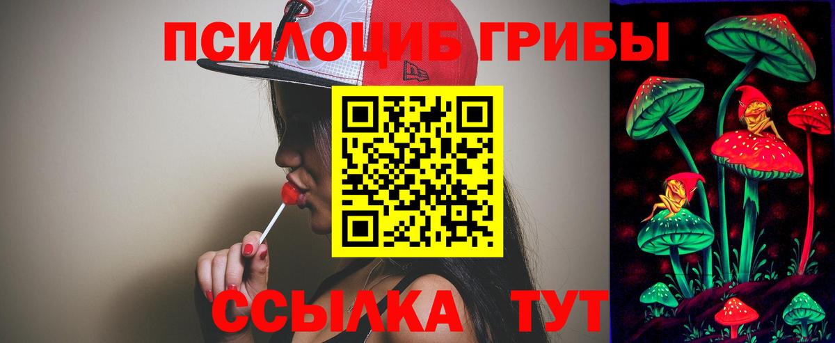 Псилоцибиновые грибы мицелий  Вход с VPN  Углич  Галлюциногенные грибы GOLDEN TEACHER 